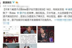 娱乐圈吃瓜爆料文章,揭秘幕后真相与八卦风云