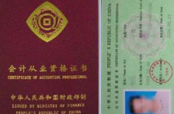 会计从业资格考试网,会计从业资格考试要点解析与备考攻略