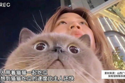 娱乐猫吃瓜,揭秘娱乐圈那些不为人知的幕后故事