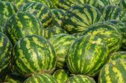 娱乐吃瓜酱广西,揭秘广西娱乐圈的那些事儿