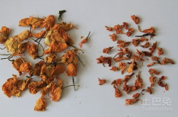 罗汉果花,天然养生佳品，润肺解毒，美容养颜
