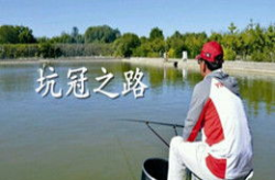 钓鱼视频大全,从入门到精通的垂钓技巧解析