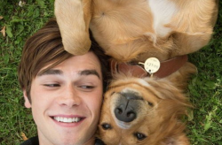 娱乐吃瓜酱安乐狗狗,娱乐吃瓜酱的温馨故事