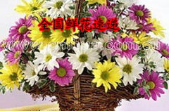 北京鲜花预定,便捷传递心意，让生活充满芬芳