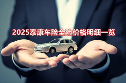 一年车险大概多少钱,一年车险价格全解析”
