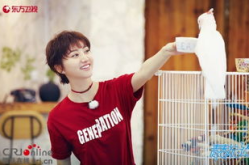 娱乐吃瓜社王源,娱乐圈的甜蜜瓜果，揭秘他的成长与蜕变