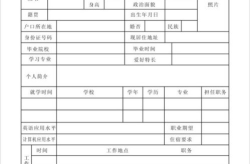 个人应聘简历表格,个人职业发展历程与能力展示