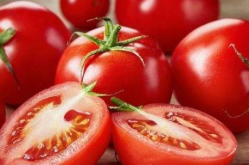 娱乐吃瓜酱西红柿,西红柿的瓜界传奇