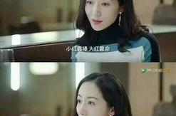 娱乐圈吃瓜趣事小说,瓜田里的甜蜜陷阱